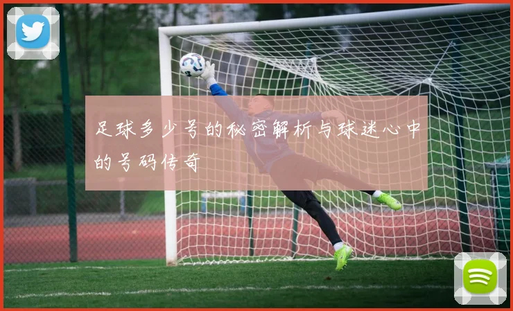 足球多少号的秘密解析与球迷心中的号码传奇
