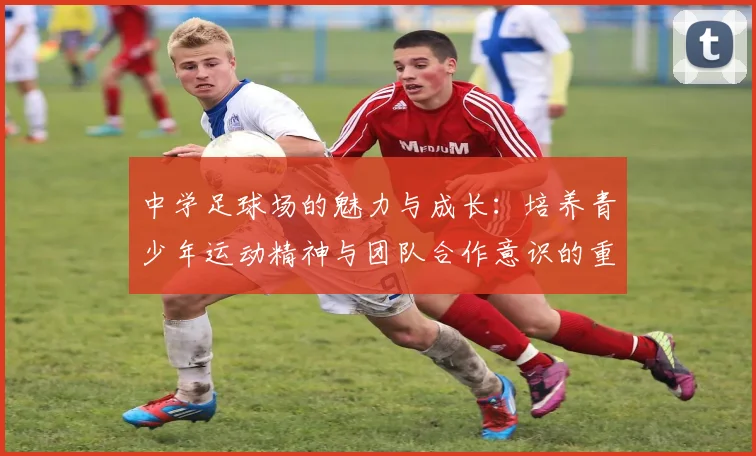 中学足球场的魅力与成长：培养青少年运动精神与团队合作意识的重要基地