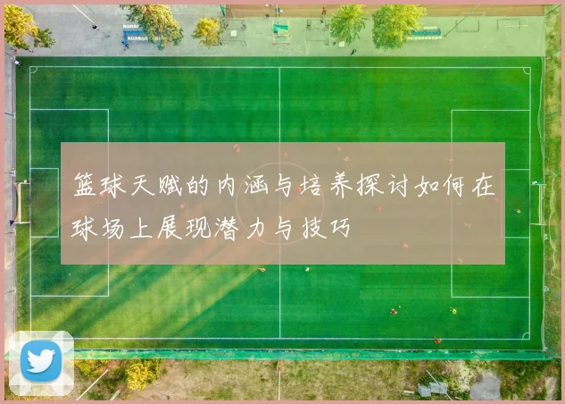 篮球天赋的内涵与培养探讨如何在球场上展现潜力与技巧