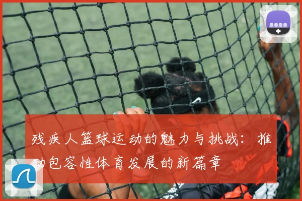 残疾人篮球运动的魅力与挑战：推动包容性体育发展的新篇章