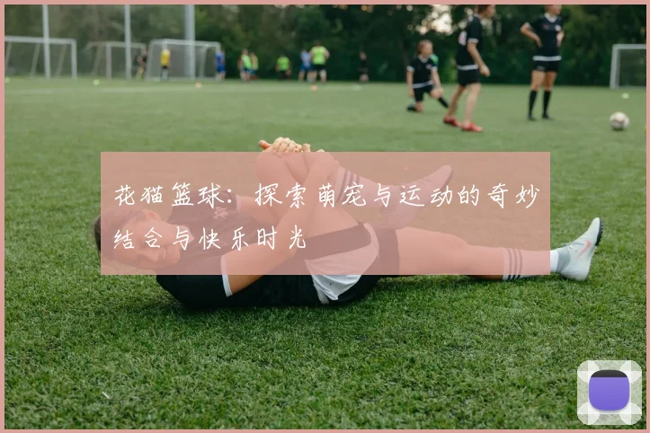 花猫篮球：探索萌宠与运动的奇妙结合与快乐时光